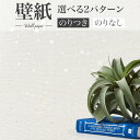 BA7424 カジュアル壁紙 キッズスペース 星 シンコール ビックエース クロス のり付き のりなし 1m単位販売