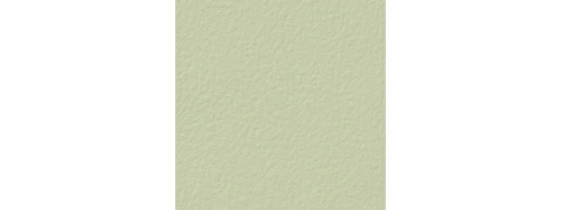 壁紙 グリーン系 アクセント 賃貸 補修 おしゃれ 壁紙貼り替え リフォームのりなし サンゲツ BW4927