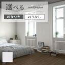 FE76463 壁紙 ホワイト系 白系 吸放湿壁紙 賃貸 補修 水回り 洗面所 おしゃれ 壁紙貼り替え リフォーム のり付き のりなし サンゲツ ファイン