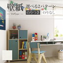 SP2509 壁紙 のり付き のりなし 量産クロス サンゲツ