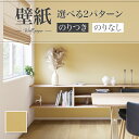 SP2585 壁紙 のり付き のりなし 量産クロス サンゲツ