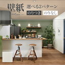 SP2504 壁紙 のり付き のりなし 量産クロス サンゲツ