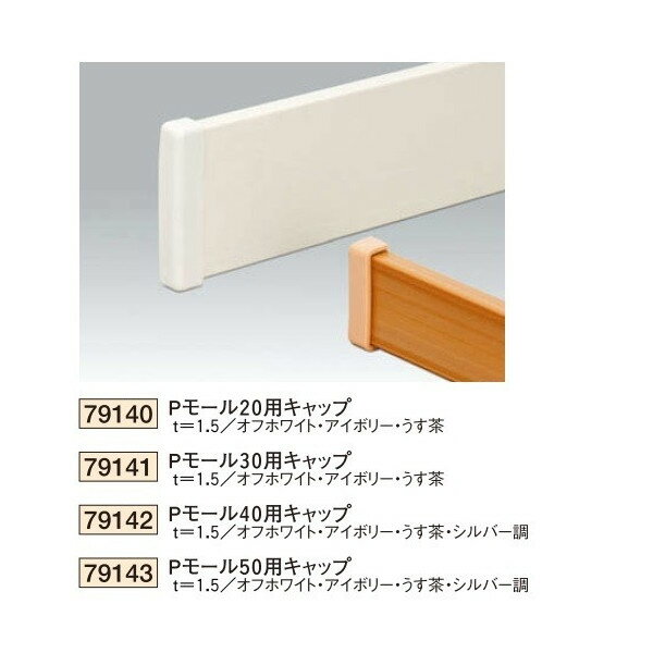 創建　ビニール　腰壁見切　ビニール腰壁見切　Pモール30用キャップ　（商品コード：79141)