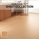 CF9645 クッションシート クッションフロア 抗菌 抗ウイルス 東リ 1.8mm厚 182cm巾