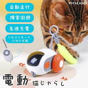 猫おもちゃ 電動猫じゃらし 猫おもちゃ 一人遊び 電動 自動 留守番 ネコ おもちゃ ねこ 猫じゃらし キャットトイ キャットおもちゃ 自動回転 羽のおもちゃ ...