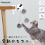猫おもちゃ自動 猫釣りボール 自動昇降 猫用 おもちゃ ネコ 猫 ねこ 電動おもちゃ 猫オモチャ 猫のおもちゃ 猫ディスク ボールのおもちゃ 訓練 対策 ペット玩具 猫じゃらし 一人遊び プレゼント ヨーヨー 送料無料