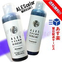 アレス カラー ムラサキシャンプートリートメントセット