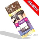 TO-PLAN 白髪かくしファンデーション ダークブラウン ノンジアミン コンパクト トプラン トープラン 【最速・あす楽】【送料無料】ネコポス配送