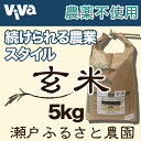 瀬戸ふるさと農園 玄米 5kg 令和2年産！