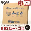 【ポスト投函/全国配送対応】ワンタッチ一体型 樹液元気シート ONE(ワン)◆限定セット 計20枚入り◆