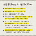 【ポスト投函／全国配送対応】たまねぎの皮 粉末 85g 《玉ねぎの皮100%/タマネギ》 2