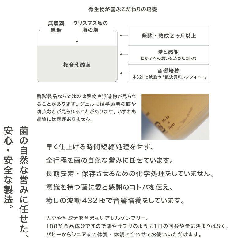 市場 竹かご巾着 竹籠 かごバッグ 市場 竹かご巾着 竹籠 かごバッグ