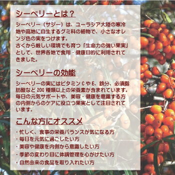 �������礦�֤ʤ�� �̲����ץ�ߥ��� �����٥꡼���塼�� 250ml 3�ܴ��� ���������塼�� �Ϸ�� shop