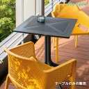 ガーデンテーブル クリップ NAR-T12 組立品 2色から選べる 幅70 奥行70 高さ75 正方形 ポリプロピレン製 ガーデンファニチャー 送料込み