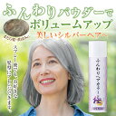 【5%OFFクーポン 5/16 1:59まで】 ふんわりヘアカラー シルバー 極 ヘアカラー スプレー ボリュームアップスプレー シルバーヘア ボリュームアップ...