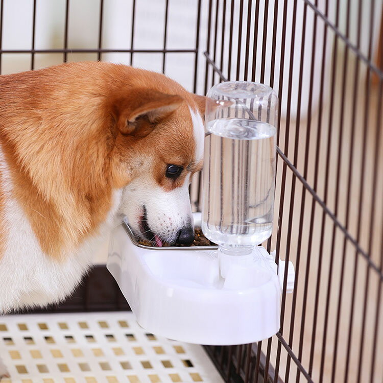 犬猫用食器 小型犬用 ボウル 猫ボウル ウォーター フード ボウル 餌入れ 食べやすい 滑り止め お手入れ簡単 ご飯 入れ 物 食事 水 おやつ ごはん皿 お水入れ 食器 給水器 給餌器 細菌の繁殖を抑える 健康のため作られた食器