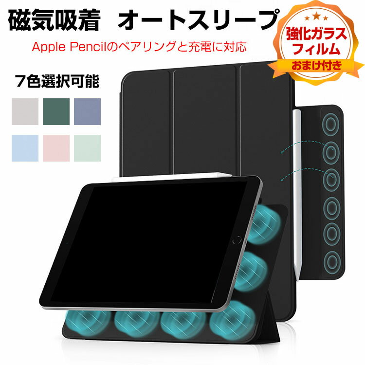 åץ ѥå Apple iPad 10.9 10 2022ǥ Ģ 쥶  ȥ꡼ CASE ...