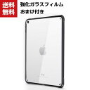 送料無料 iPad 10.2インチ 2019/2020モデル 第7/8世代 クリア ケース 背面カバー 傷やほこりから守る 全面保護 アイパッド CASE 耐衝撃 高級感があふれ おしゃれ 衝撃に強い カッコいい 人気 透明 カバー ソフトケース 強化ガラスフィルム おまけ付き