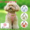 犬用 ハーネスリード 可愛い 犬 着物 首輪 ハーネス リード セット 胴輪 犬用 通気性抜群 おしゃれ 軽量 ペット用品 散歩 お出かけ用 ワンちゃん 調節可能 簡単脱着式 ウォーキング、ジョギングのためのパーフェクト、チワワ、トイプードル、テリア、マルチーズ等の小型犬に(4)