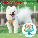犬用 ハーネスリード 可愛い 犬 着物 首輪 ハーネス リード セット 胴輪 犬用 通気性抜群 おしゃれ 軽量 ペット用品 散歩 お出かけ用 ワンちゃん 調節可能 簡単脱着式 ウォーキング、ジョギングのためのパーフェクト、チワワ、トイプードル、テリア、マルチーズ等の小型犬に