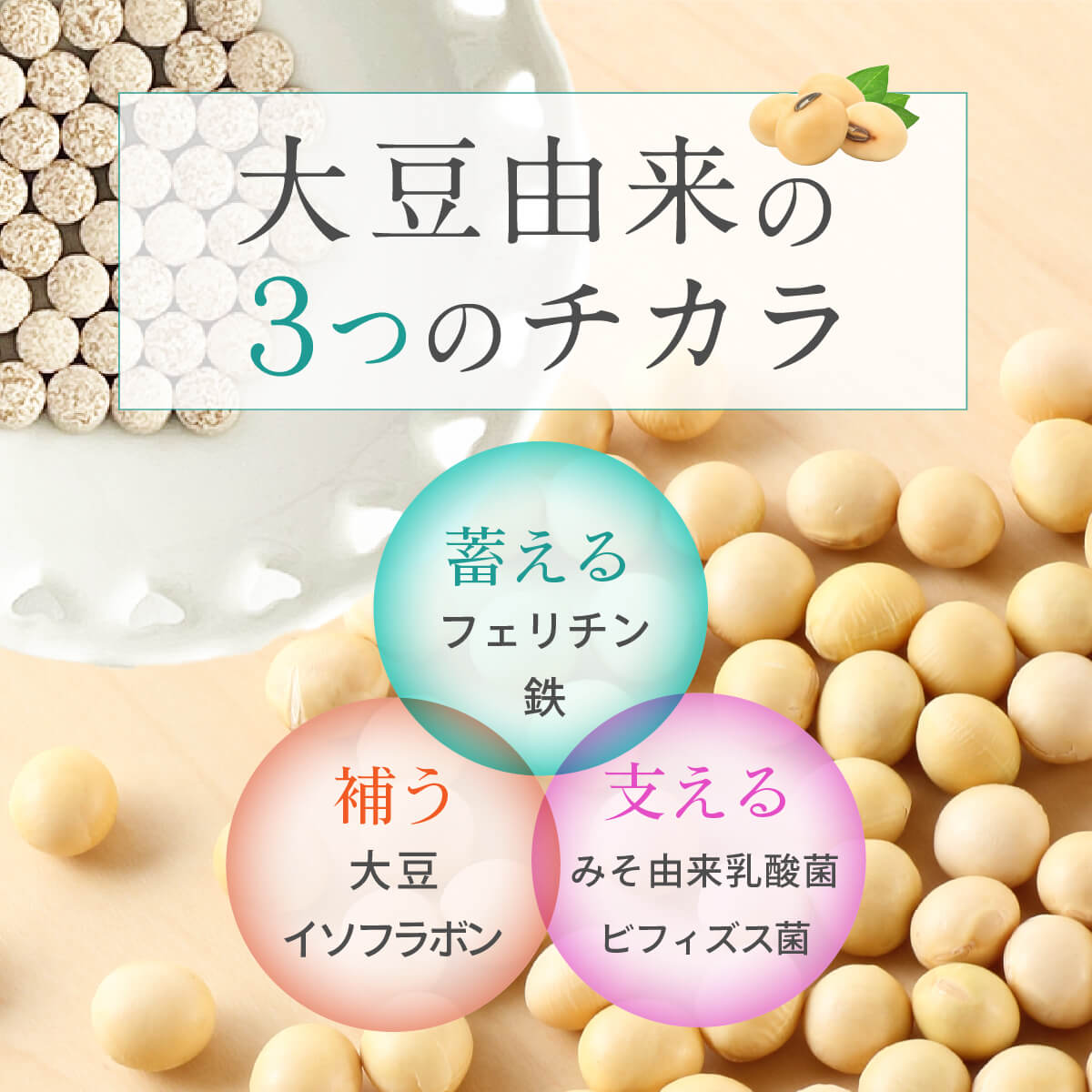 鉄分をしっかり貯めて毎日イキイキ まめラボ フェリチン鉄 単品 鉄分 鉄剤 鉄分不足 鉄分サプリ 血行不良 美容 冷え ふらつき 貯蔵鉄 フェリチン フェリチン鉄サプリ 鉄不足 Mamelab フェリチン鉄サプリメント まめらぼ イライラ 鉄分補給 １袋の容量 60粒 公式ショップ