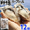牡蠣 冷凍 ハーフシェル 12個 韓国 加熱用 殻付き かき 牡蛎 カキ 海鮮 バーベキュー BBQ 貝 大容量 大人数 送料無料