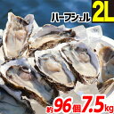 牡蠣 冷凍 ハーフシェル 7.5kg 約96個 2Lサイズ 韓国 加熱用 殻付き かき 牡蛎 カキ 海鮮 バーベキュー BBQ 貝 大容量 大人数 送料無料