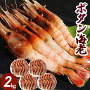 えび エビ ボタンエビ 2kg(52〜64尾) 海老 刺身 生食用 たまご ぼたんえび ボタン海老 食べ物 エビ えび 海鮮 鍋 具 美味しい 大量 冷凍エビ ...