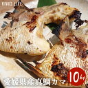 旨味たっぷり！ 鯛のカマは真鯛の中で旨味が1番ある部分です。 可食部も多く、塩焼きや煮付け、唐揚げなど調理方法様々です。 冷くん処理をした鯛のカマ。 引き締まった身にもちっとした食感の愛媛県産の真鯛を使用しております。 鱗除去済み　※稀に鱗が残っていることがございます 1箱約200個入り！ 段ボールにつめて、業務用のお届けです。