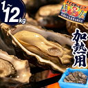 牡蠣 加熱用 1〜12kg 宮城県 殻付き 生牡蠣 かき 牡蛎 カキ 三陸 海鮮 生 バーベキュー BBQ 貝 大容量 大人数 大粒 中粒 【1kg/2kg/3...