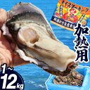 \10%OFFクーポン/【九州/沖縄用】牡蠣 加熱用 1~12kg 宮城県 殻付き 生牡蠣 かき 牡蛎 カキ 三陸 海鮮 生 バーベキュー BBQ 貝 大容量 大人数 大粒 中粒 産地直送 産直【1kg/2kg/3kg/4kg/5kg/7kg/10kg/12kg】