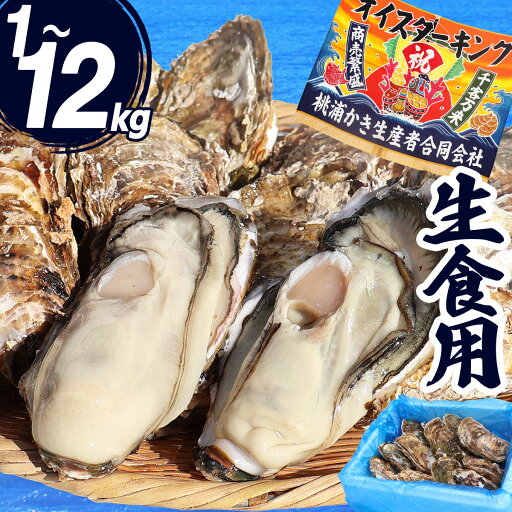 生食用 1〜12kg 宮城県 殻付き 生牡蠣 かき 牡蛎 カキ 三陸 海鮮 生 刺し身 刺身 バーベキュー BBQ 貝 大容量 大人数 大粒 中粒 【1kg/2kg/3kg/4kg/5kg/7kg/10kg/12kg】 生食用 1〜12kg 宮城県 殻付き 生牡蠣 かき 牡蛎 カキ 三陸 海鮮 生 刺し身 刺身 バーベキュー BBQ 貝 大容量 大人数 大粒 中粒 【1kg/2kg/3kg/4kg/5kg/7kg/10kg/12kg】