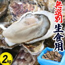 牡蠣 生食用 2kg 無選別 宮城県 殻付き 生牡蠣 かき 牡蛎 カキ 三陸 海鮮 生 刺し身 刺身 バーベキュー BBQ 貝