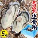 牡蠣 生食用 5kg 無選別 宮城県 殻付き 生牡蠣 かき 牡蛎 カキ 三陸 海鮮 生 刺し身 刺身 バーベキュー BBQ 貝