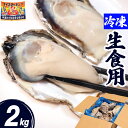 牡蠣 冷凍 生食用 2kg 12〜24個 宮城県 殻付き 生牡蠣 かき 牡蛎 カキ 三陸 海鮮 生 刺し身 刺身 バーベキュー BBQ 貝 大粒 中粒 産地直送...
