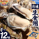 \10%OFFクーポン/牡蠣 冷凍 生食用 1~12kg 宮城県 殻付き 生牡蠣 かき 冷凍かき 牡蠣冷凍 牡蛎 カキ 三陸 海鮮 生 刺し身 刺身 バーベキュー BBQ 貝 大容量 大人数 大粒 中粒 産地直送 産直【1kg/2kg/3kg/4kg/5kg/7kg/10kg/12kg】