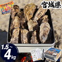 \10%OFFクーポン/【九州/沖縄用】牡蠣 カンカン焼き 1.5kg~4kg 宮城県 (軍手・ナイフ付) 冷凍 殻付き 牡蠣缶 缶焼き かき 牡蛎 カキ 三陸 海鮮 セット バーベキュー BBQ 貝 大容量 大人数 産地直送 産直【1.5kg/2kg/3kg/4kg】