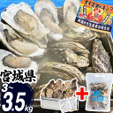 \500円OFFクーポン/牡蠣 カンカン焼きおかわりセット 3kg/3.5kg (1缶+1.5kg) 大粒 中粒 宮城県 殻付き 冷凍 かき 牡蛎 カキ カン焼...