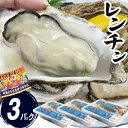 牡蠣 レンチン 500g×3 大粒 中粒 加熱用 宮城県 殻付き 生牡蠣 かき 牡蛎 カキ 三陸 海鮮 レンジ 時短 おかず 酒の肴 バーベキュー 海鮮バーベキ...
