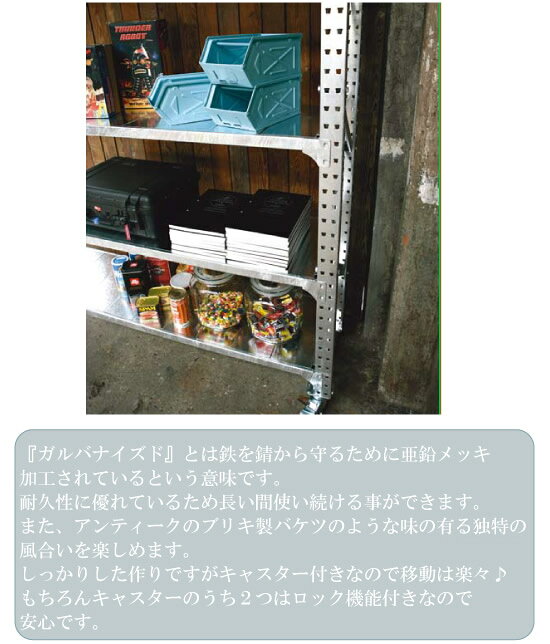 ポイント2倍 送料無料 SLF01-D ガルバ...の紹介画像2