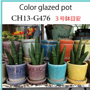 Color glazed pot CH13-G476 植木鉢 3号鉢 プ
