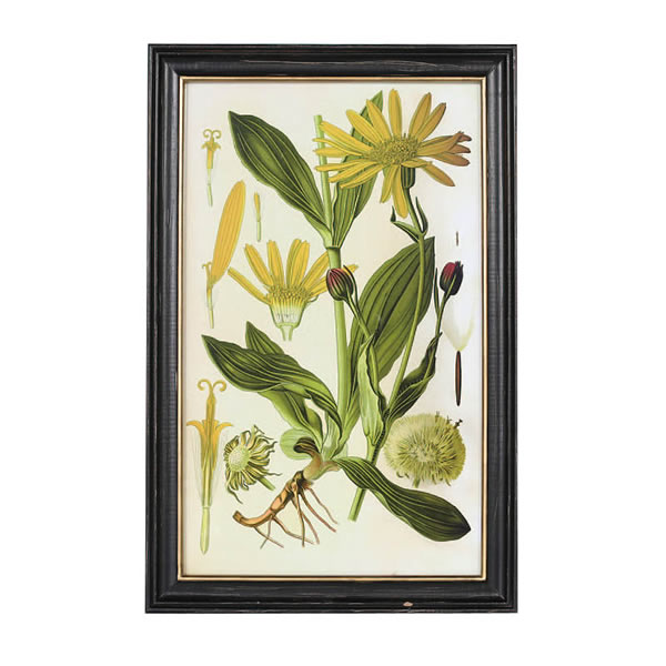 Plant/Frame/Type-B/プラントフレームタイプA/インテリア/雑貨/家具/アンティーク/プラントアート/Plant/Frame/ヴィンテージ/ナチュラル/DULTON/ダルトン/K655-658B