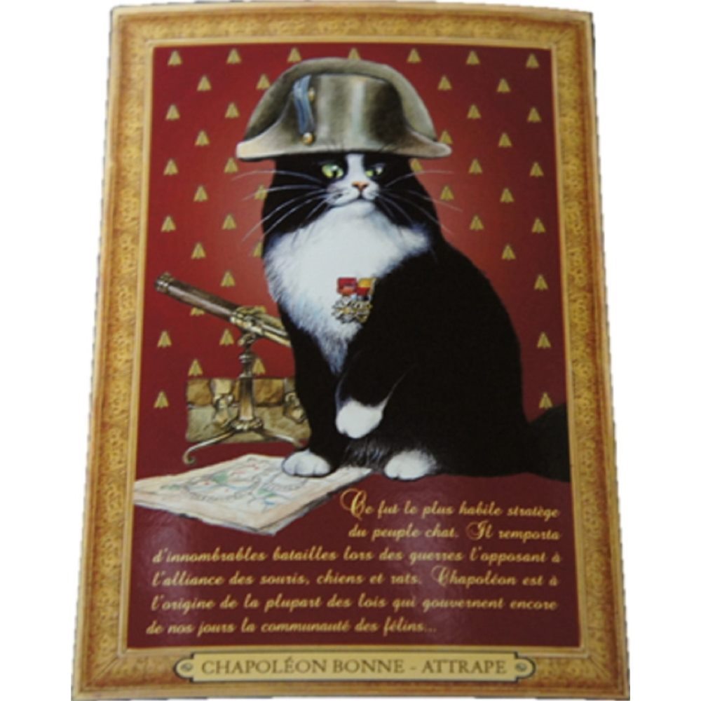 セブリーヌキャット フランス製 キャット ポストカード 猫 ネコ はがき 絵葉書 絵はがき 絵ハガキ 可愛い 猫 猫グッズ ねこ雑貨 おしゃれ