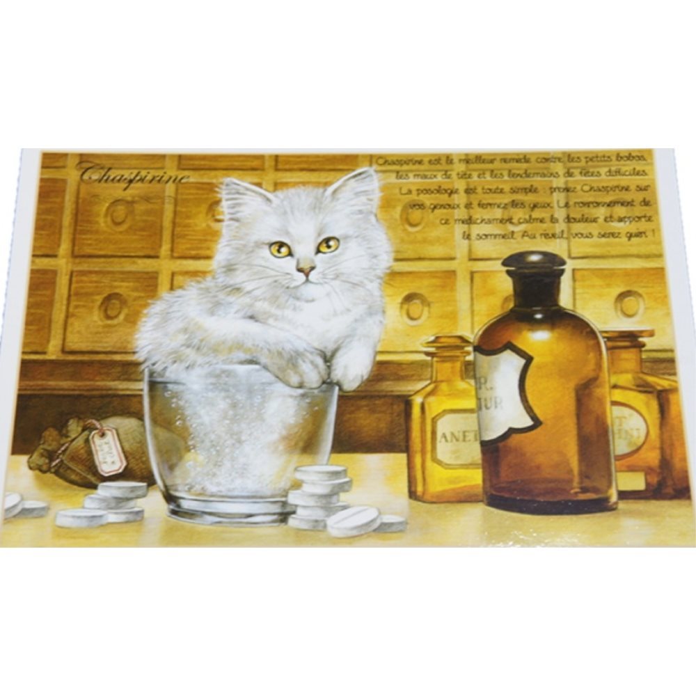 セブリーヌキャット フランス製 キャット ポストカード 猫 ネコ はがき 絵葉書 絵はがき 絵ハガキ 可愛い 猫 猫グッズ ねこ雑貨 おしゃれ