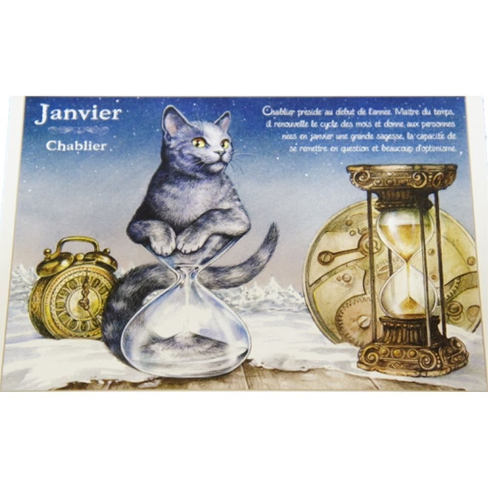 セブリーヌキャット フランス製 キャット ポストカード 猫 ネコ はがき 絵葉書 絵はがき 絵ハガキ 可愛い 猫 猫グッズ ねこ雑貨 おしゃれ