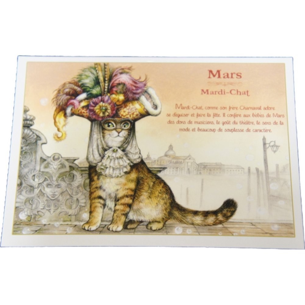 セブリーヌキャット フランス製 キャット ポストカード 猫 ネコ はがき 絵葉書 絵はがき 絵ハガキ 可愛い 猫 猫グッズ ねこ雑貨 おしゃれ