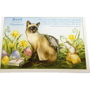 5%OFFクーポンあり★16日AM1時59分まで | フランス製 キャット ポストカード 猫 ネコ はがき 絵葉書 絵はがき 絵ハガキ おしゃれ かわいい 猫 ...