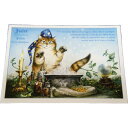 5%OFFクーポンあり★16日AM1時59分まで | フランス製 キャット ポストカード 猫 ネコ はがき 絵葉書 絵はがき 絵ハガキ おしゃれ かわいい 猫 ...