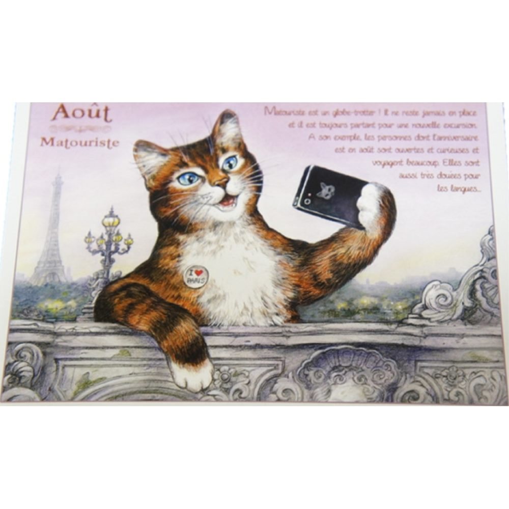 セブリーヌキャット フランス製 キャット ポストカード 猫 ネコ はがき 絵葉書 絵はがき 絵ハガキ 可愛い 猫 猫グッズ ねこ雑貨 おしゃれ