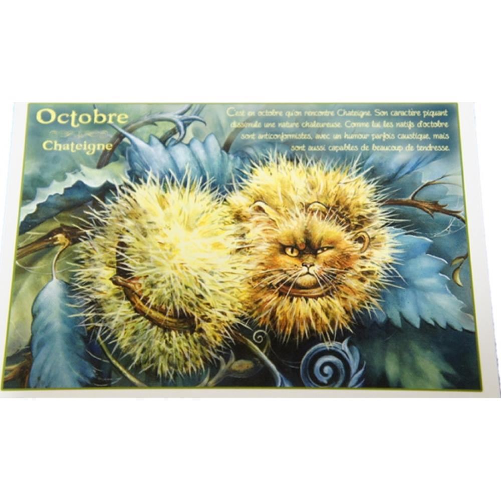 セブリーヌキャット フランス製 キャット ポストカード 猫 ネコ はがき 絵葉書 絵はがき 絵ハガキ 可愛い 猫 猫グッズ ねこ雑貨 おしゃれ